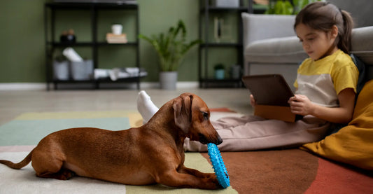 The Ultimate Pet Care Guide: Essentials Every New Pet Parent Needs