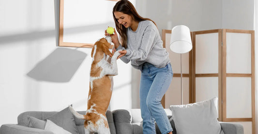 How to Create a Happy, Healthy Home for Your Pet—Room by Room