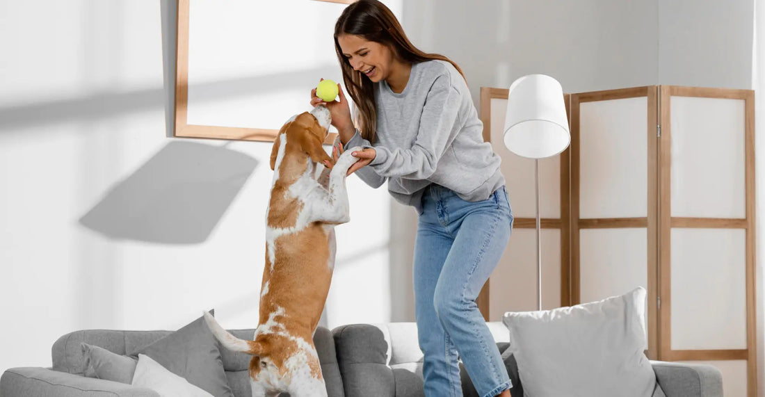 How to Create a Happy, Healthy Home for Your Pet—Room by Room