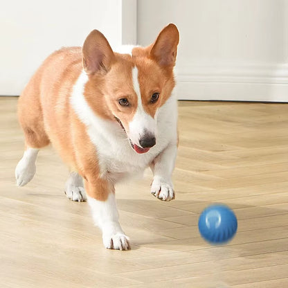 Dog Toys Intelligent Gravity Jump Ball Rechargeable Bite-Resistant Rolling Ball Cat and Dog Chase Interactive Pet Toys